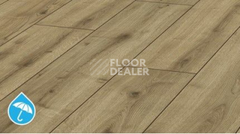 Ламинат Kronotex Robusto 12мм d40782 Дуб Джалон фото 1 | FLOORDEALER